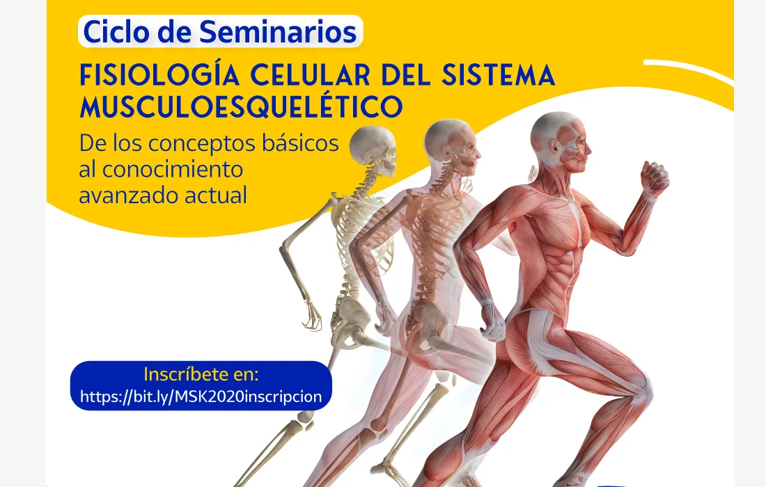 Musculoesquelética