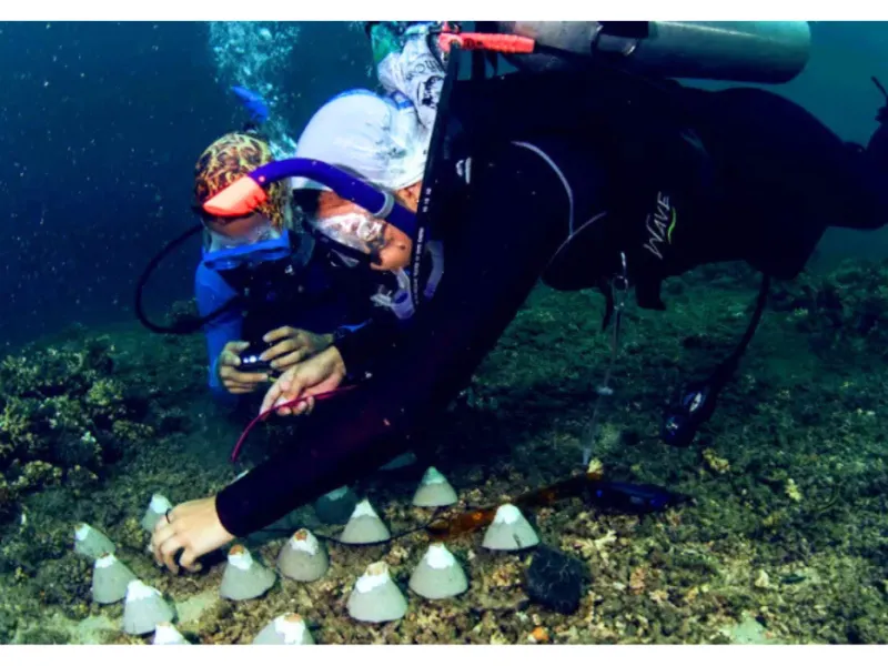 Colombia, ante el reto de restaurar el 30% de sus ecosistemas degradados Colombia, ante el reto de restaurar el 30% de sus ecosistemas degradados