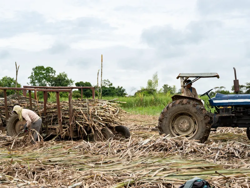económica territorial económica territorial