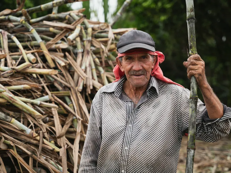 fortalecer las economías propias fortalecer las economías propias